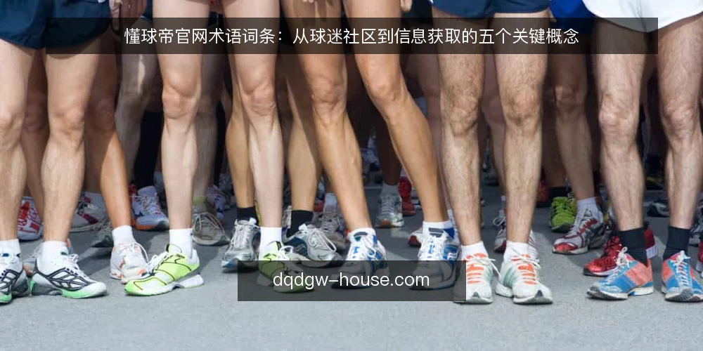 懂球帝官网术语词条：从球迷社区到信息获取的五个关键概念 — 准备：明确懂球帝官网的使用场景 配图