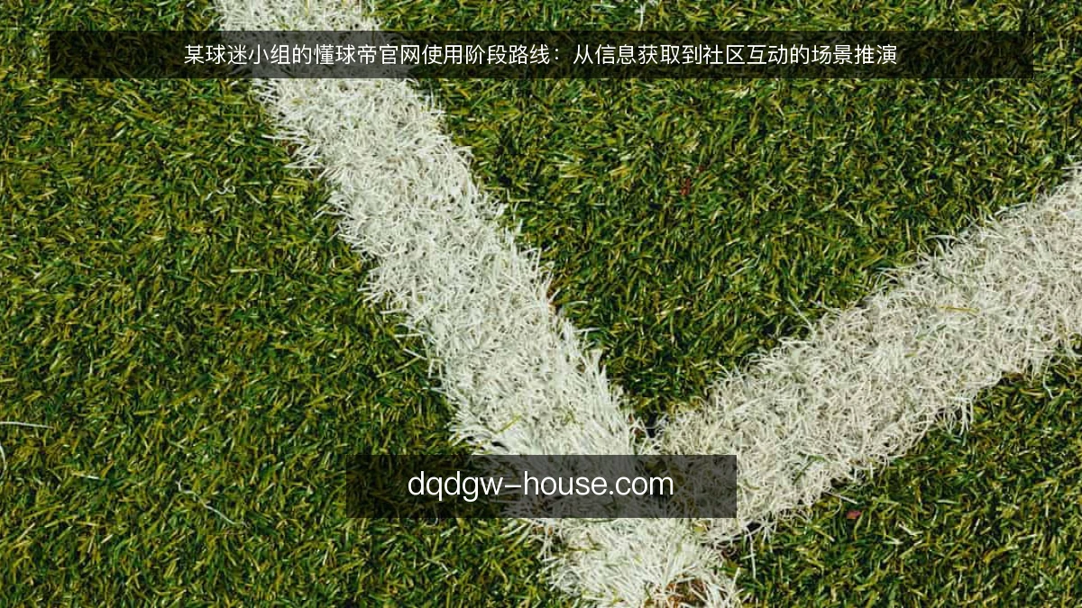 某球迷小组的懂球帝官网使用阶段路线:从信息获取到社区互动的场景推演