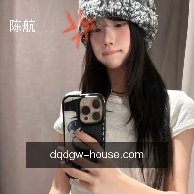 陈航